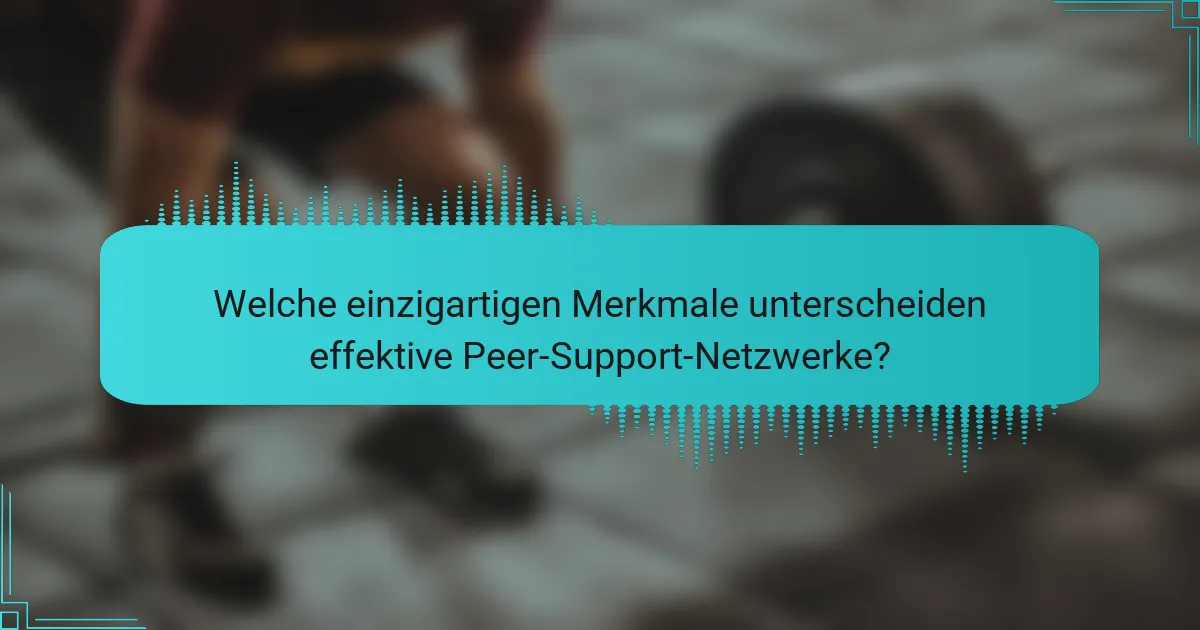 Welche einzigartigen Merkmale unterscheiden effektive Peer-Support-Netzwerke?